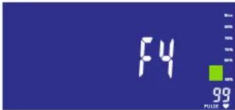 F4 99 PULSE