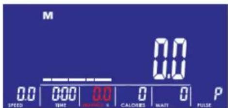 M 0.0 0.0 0.0 0.0 P SPEED TIME AMOUNT CALORIES WAIT PULSE
