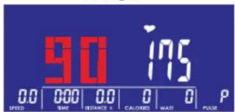 90 175 0.0 | 0:00 | 0.0 | 0 | 0 | P SPEED TIME DISTANCE & CALONES WAIT PULSE