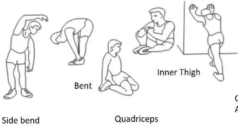 Side bend Bent Quadriceps Inner Thigh C A