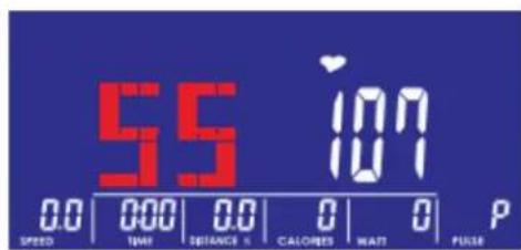 55 101 0.0 | 000 | 0.0 | 0 | 0 | P SPEED TIME DISTANCE % CALORIES WAIT PULSE
