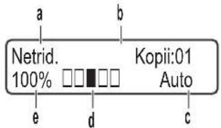 a b Netrid. 100% □□□□ Kopii:01 Auto e d c