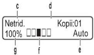 c d Netrid. 100% g f e Kopii:01 Auto