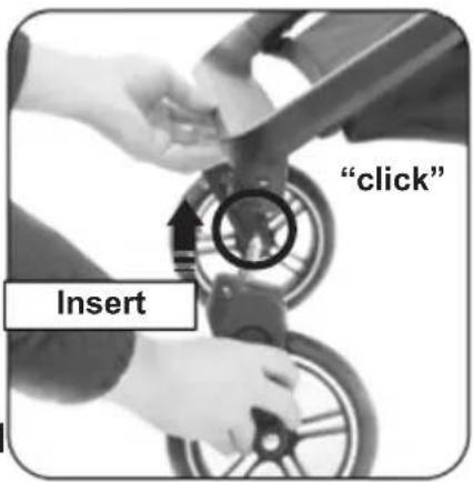 "click" Insert