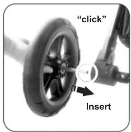 "click" Insert