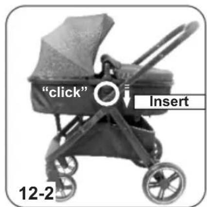 "click" Insert 12-2