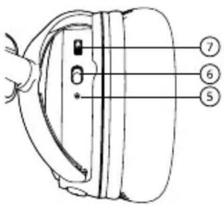 Anatomical diagram of a human ear with numbered labels pointing to specific parts.