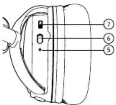 Diagram of a biological or anatomical structure with numbered labels pointing to specific parts.