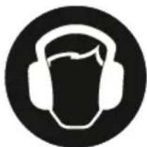 Fieldmann FDTP 2100-E - SYMBOLS - 5