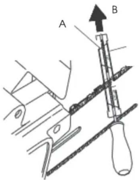A B