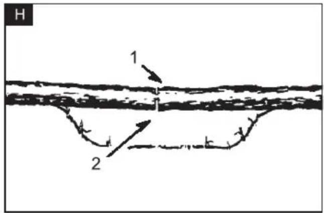 H 1 2