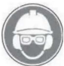 Fieldmann FZP 2025-E - SYMBOLS - 4