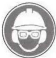Fieldmann FZP 2020-E - SYMBOLS - 4