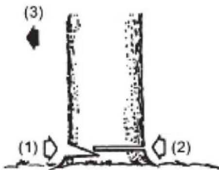 (3) (1) (2)