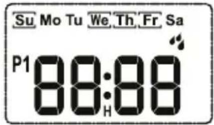 Su Mo Tu We Th Fr Sa P1 88:88