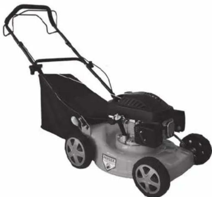 Fieldmann FZR 4608-B - Gwarancja zostaje unieważniona, jeśli: - 1