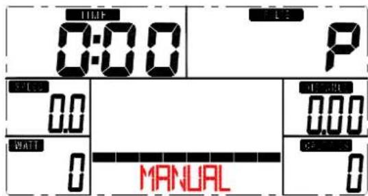 TIME 0:00 P SPEED 0.0 0.00 MATT 0 MANUAL GALWERS 0