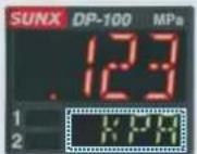 PANASONIC DP-102 - Sub display can be customized - 2