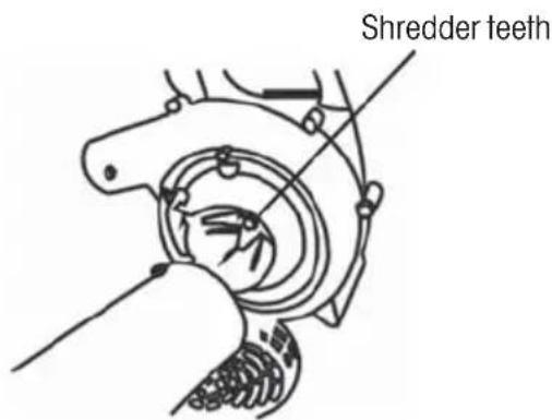 Shredder teeth