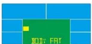 BODY FAT