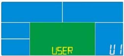USER U1