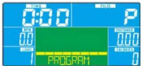 TIME 0:00 PULSE P RPM 0.0 DISTANCE 0.00 RMS 1 PROGRAM CALORIES 0