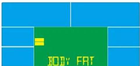 BODY FRT