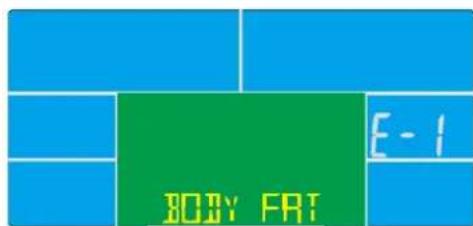 BODY FAT E-1