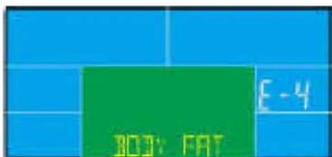 BODY FAT E-4