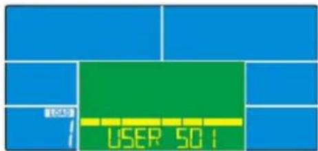 USER 501