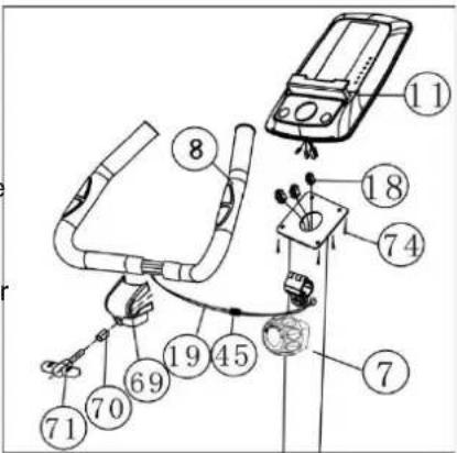 Labeled diagram of a swimmer with numbered parts for each component