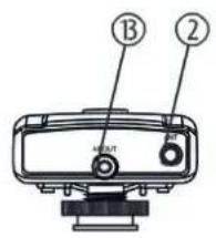 B 2