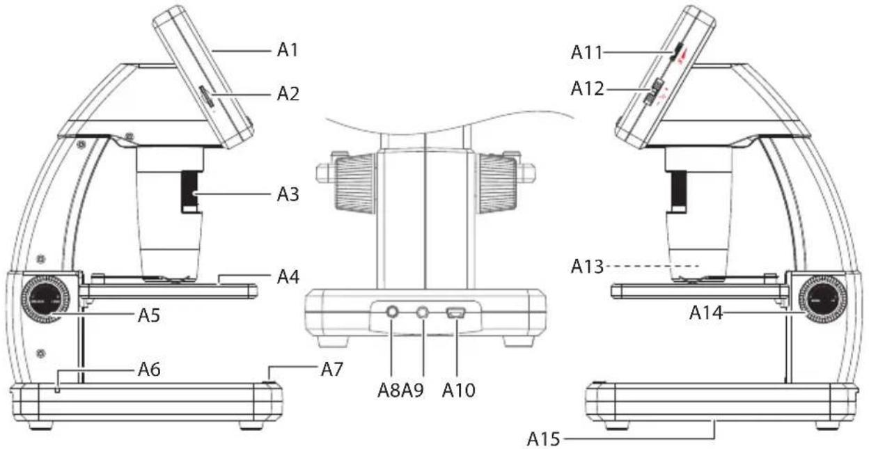 A1 A2 A3 A4 A5 A6 A7 A8A9 A10 A11 A12 A13 A14 A15
