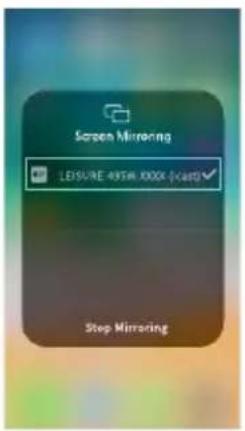 Screen Mirroring LEISURE 40% XXX (cards) Stop Mirroring