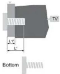 TV L1' L' Bottom
