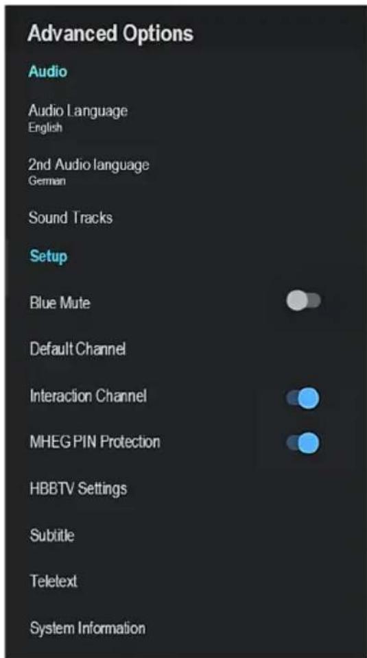 Advanced Options Audio Audio Language English 2nd Audio language German Sound Tracks Setup Blue Mute Default Channel Interaction Channel MHEG PIN Protection HBBTV Settings Subtitle Teletext System Information