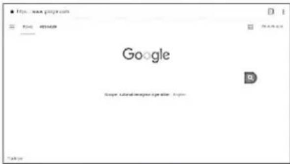 https://www.google.com Google Google, Lander@sgp.org/100-1234