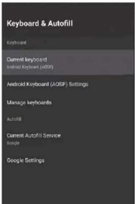 Vivax TV-49S62T2S2SM - Tastiera dhe plotësimi automatik (Keyboard and autofill): - 1
