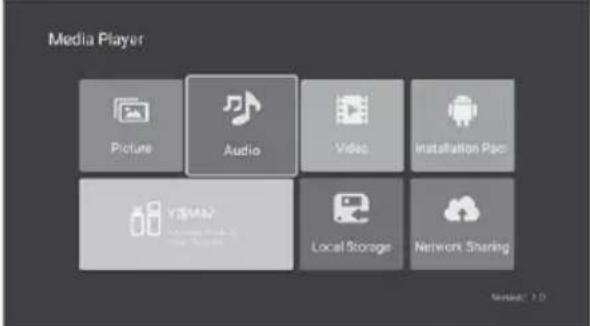 Media Player Picture Audio Video Installation Pack V3M42 Local Storage Network Sharing Newtek® 1.0