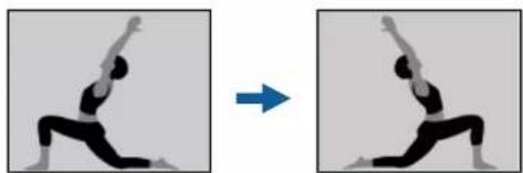 EPSON EH-LS800B - Flipping the Image Horizontally (Flexible Picture) - 1