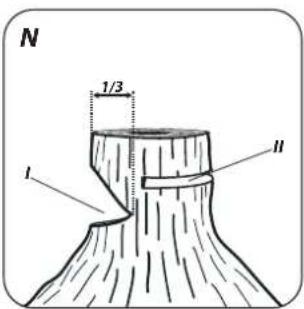 N 1/3 I II