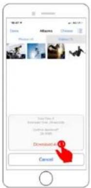 Data Images Choose Photos Photos Photos Total Files... Download Date, Afternoon Copyright: 10/01/2023 Downloaded: 10/01/2023 Cancel
