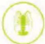 Nutrichef NCVK9112BGR - What Can be Disposed? - 6