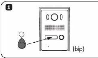 (1) (bip)
