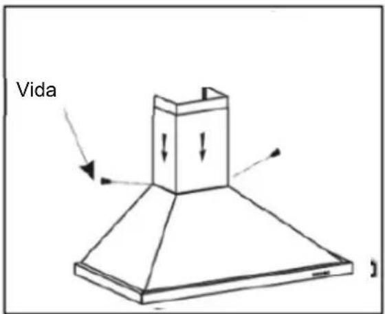 Vida