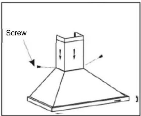 Screw