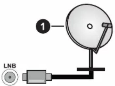 1 LNB