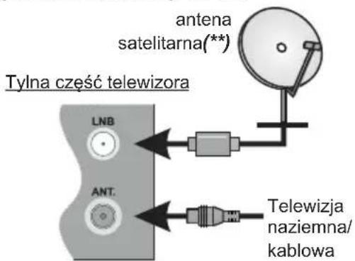antena satelitarna(**) Tylna czesc telewizora LNB ANT. Telewizja naziemna/ kablowa