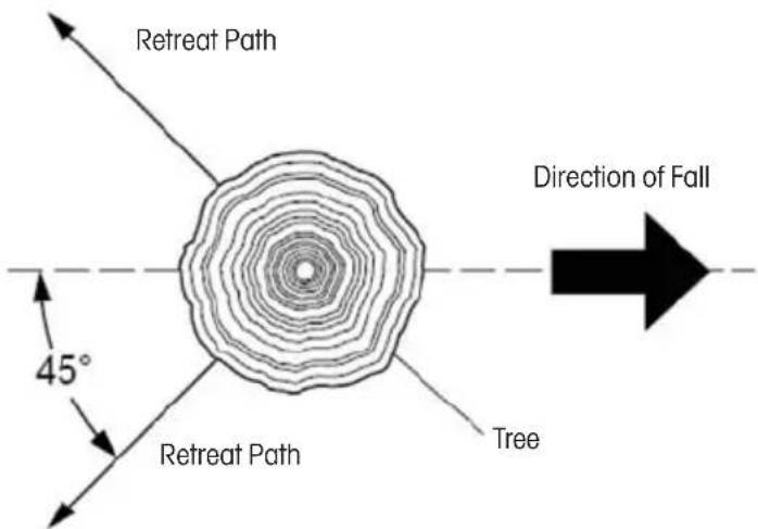 Retreat Path 45° Retreat Path Tree Direction of Fall