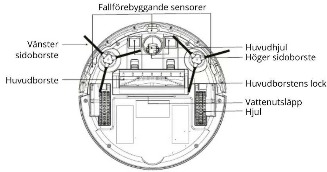 Fallförebyggande sensorer Vänster sidoborste Huvudborste Huvudhjul Höger sidoborste Huvudborstens lock Vattenutsläpp Hjul